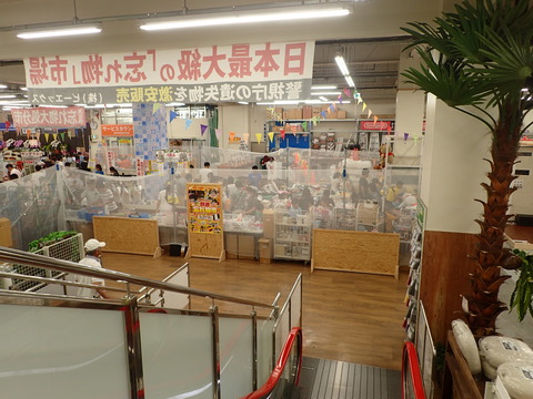 P6080793
