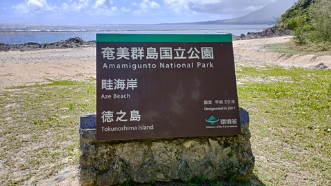 IMG_20250906_102428_HDR