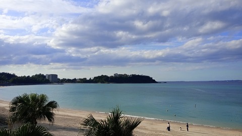 IMG_20250118_160941
