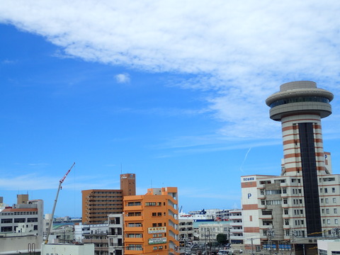 P8202242