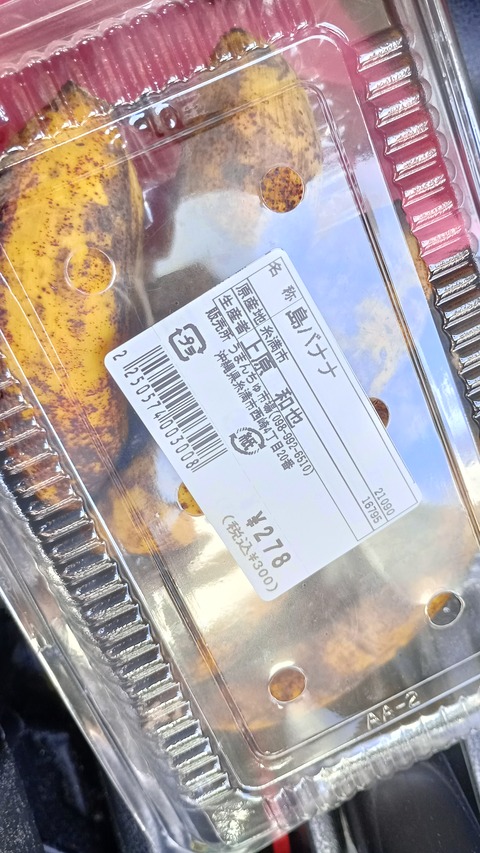 IMG_20240717_133955_HDR