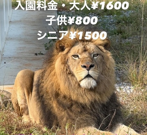 現在、現金のみの対応となっております。ご来園の際はご注意下さい