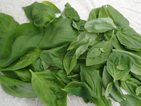 P3150062