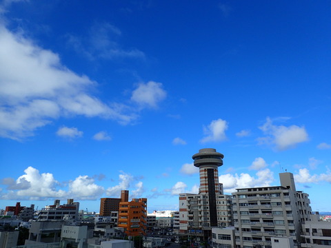 P7050306