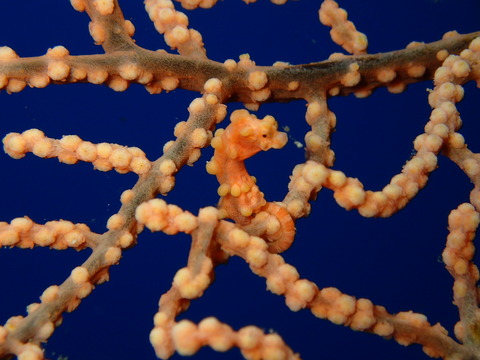P6290299