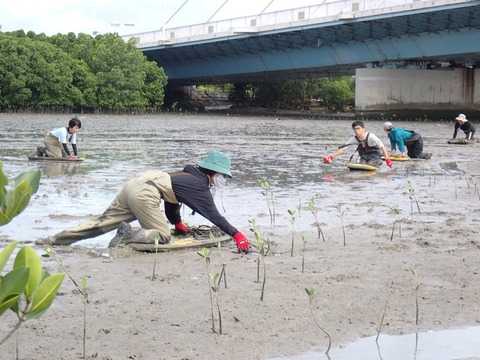 【7-19第4回ﾎﾞﾃﾞｨﾎﾞｰﾄﾞ