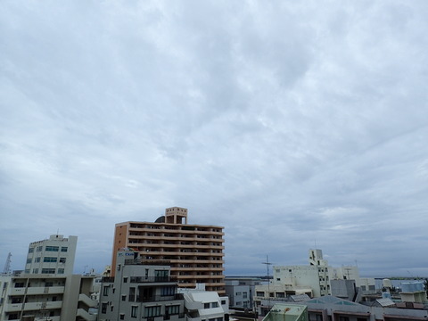 P6031414