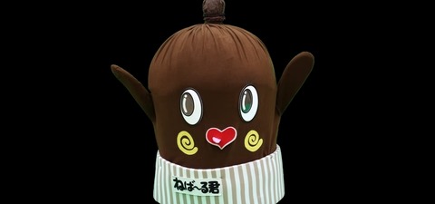 13cf4b_72385da51991411fbcda1f2ec6bb0b54_mv2