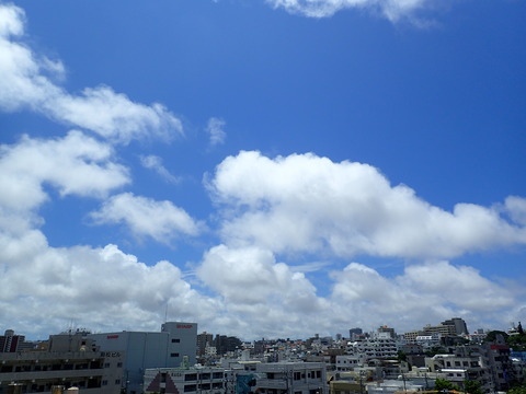 P5240229