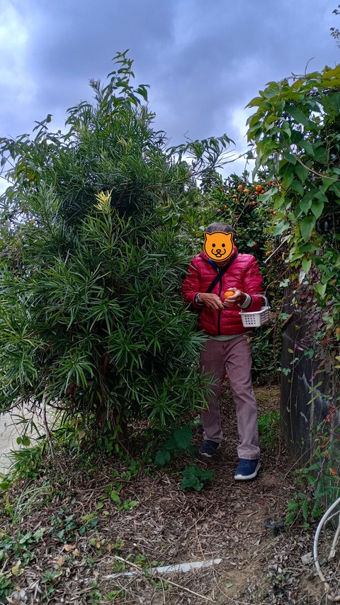 IMG_20251128_120919_HDR