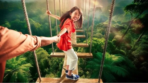 treetop-trekking-small