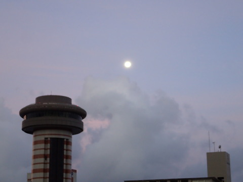P8240982