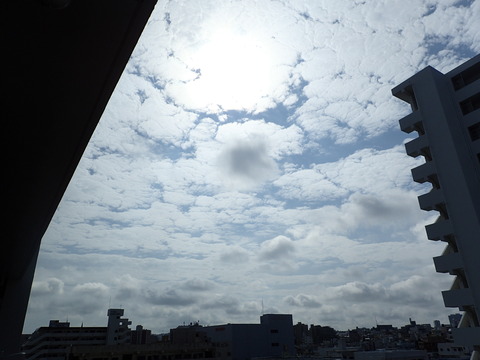 P3120662