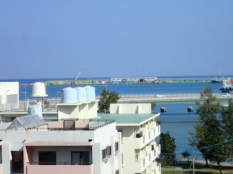 P3060102