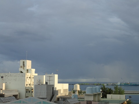 P8132093