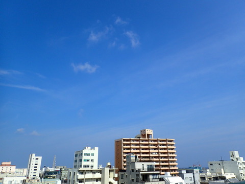 P4290106