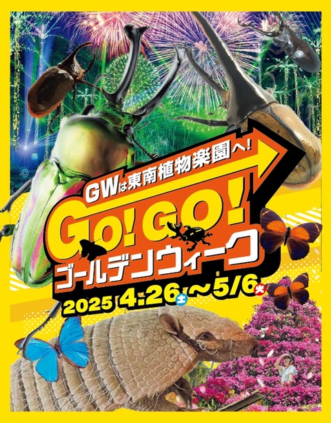 2_020250411112017_pWGT