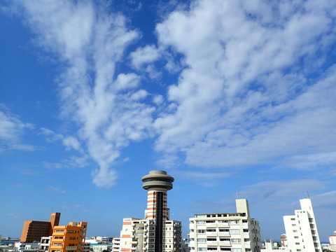 P3090010