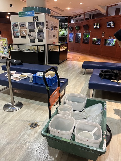 557671956_839253615097116_2348084332136140172_n