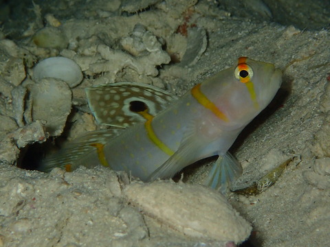 P6290254