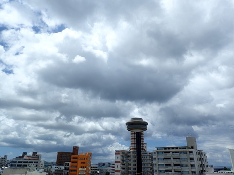 P8302333