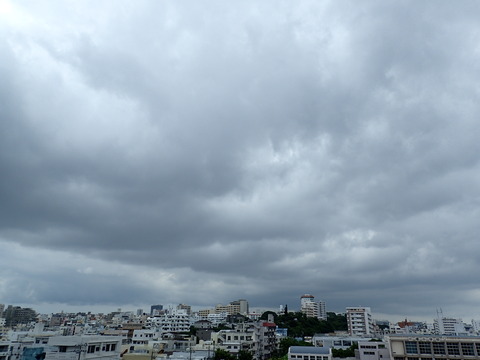 P9011081