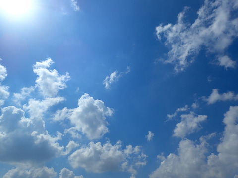 P4260058