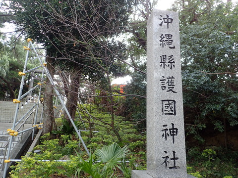 P2050502
