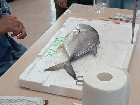 IMG_20231015_111637_232