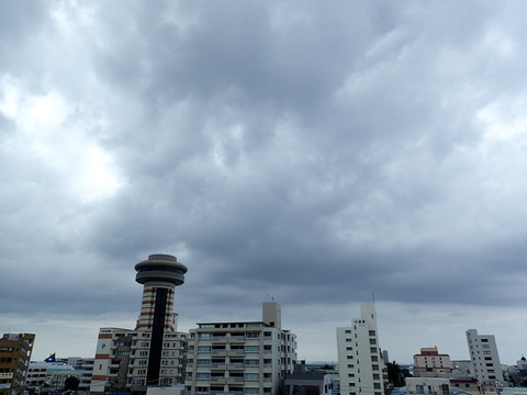 P9011080