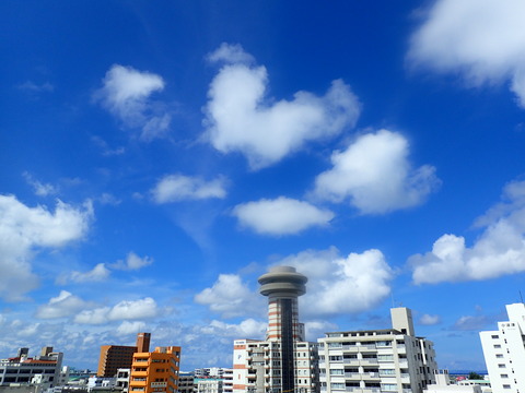 P8180168