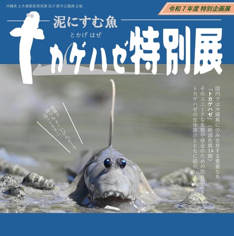 tokagehasetenji2025_1