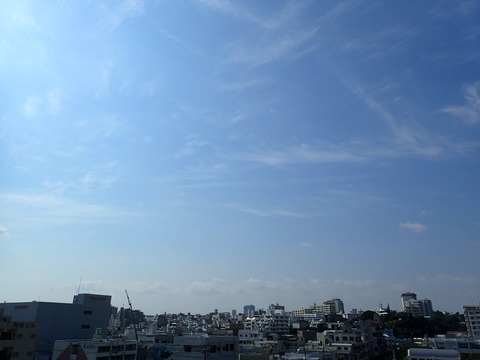 P4290105