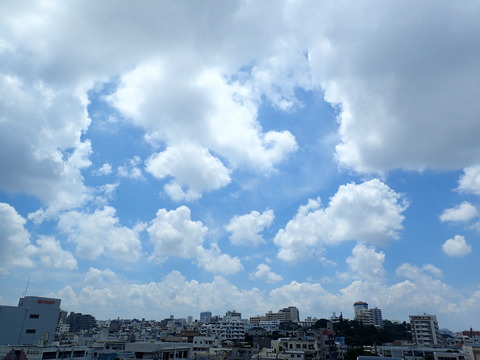 P8190298