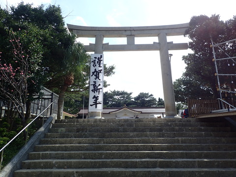 P2050503