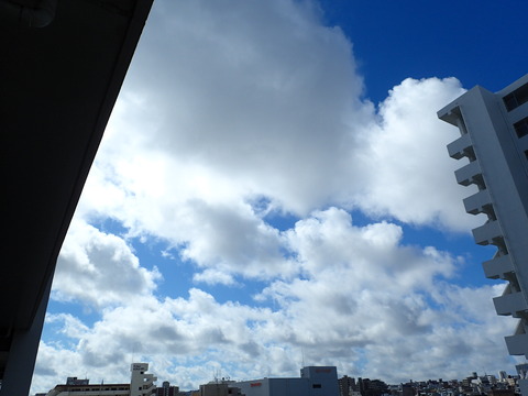 P6080080