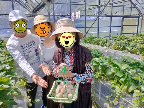 IMG_20250411_105947_HDR