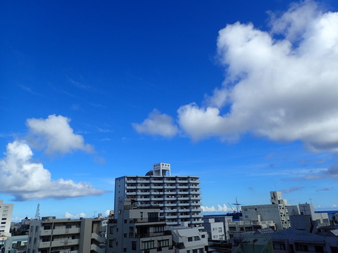P7050305