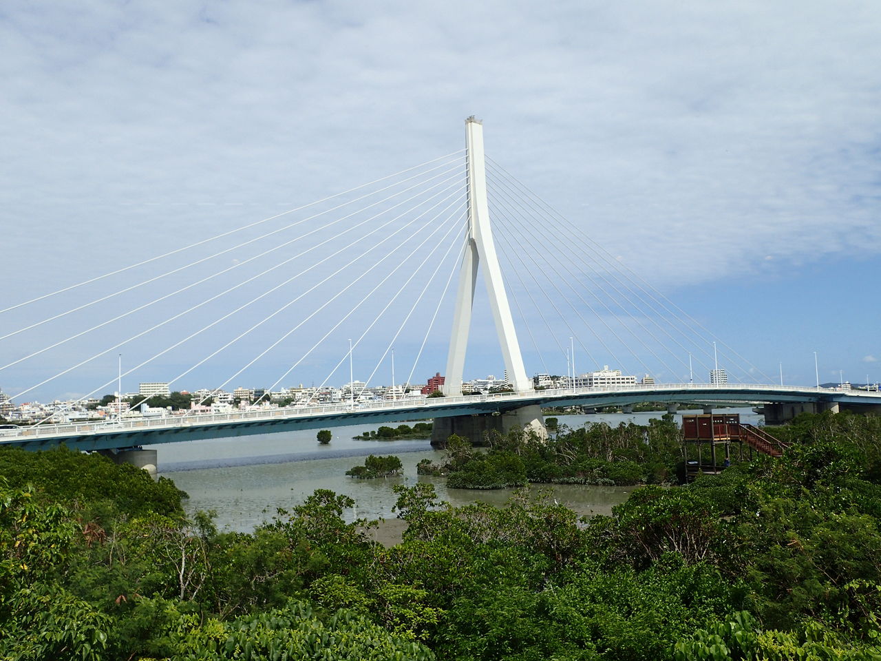 野鳥観察もね 漫湖公園 ２ ６０歳からの沖縄生活 With N