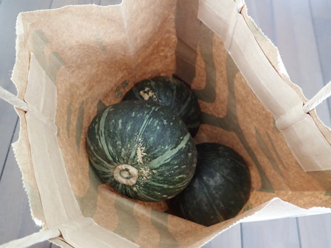 P2190039