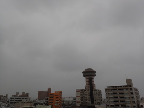 P3060608