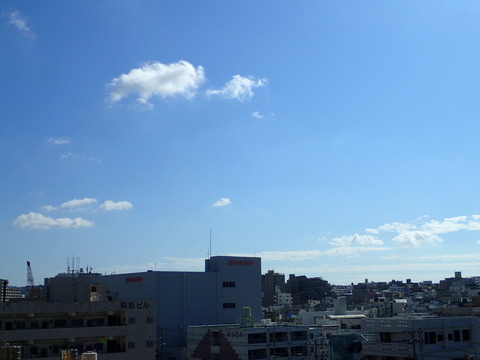 P1030278