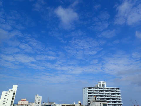 P3120663