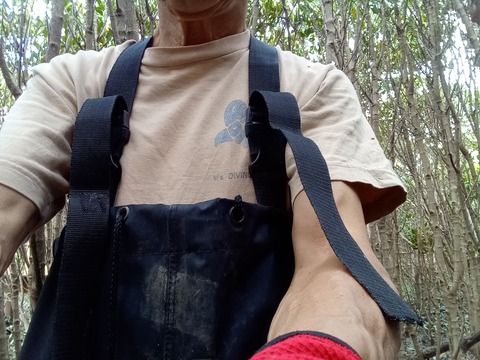 IMG_20231125_102824_530