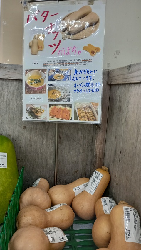 IMG_20240717_131305_HDR