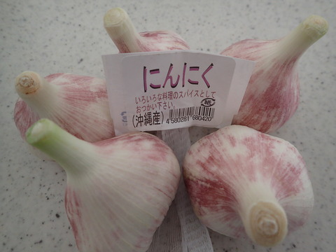 P3140153