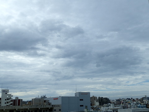 P6100145