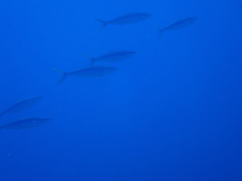 P9210338