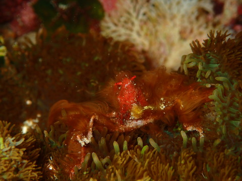 PB120531