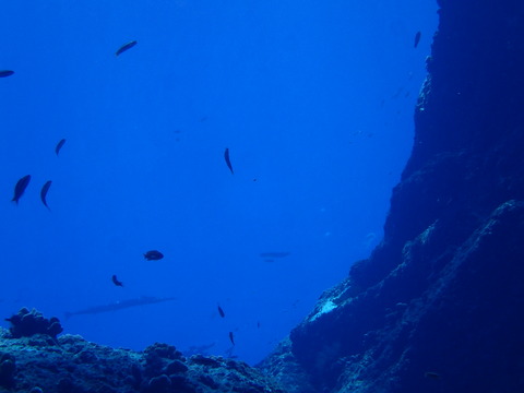 P9230536